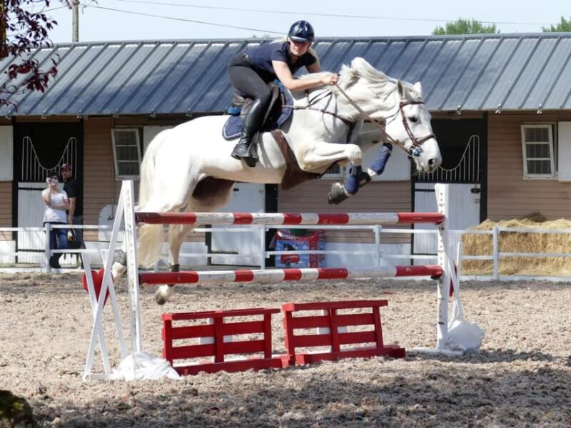 Sol Ride Fibre Europe - Sols Équestres