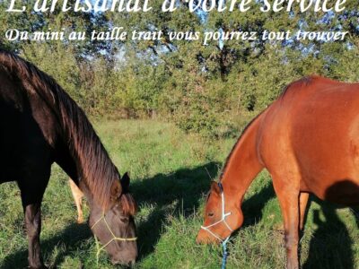 Sellerie Equi Cordage