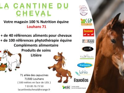 Magasin d'alimentation équine / Phytothérapie / Compléments alimentaires