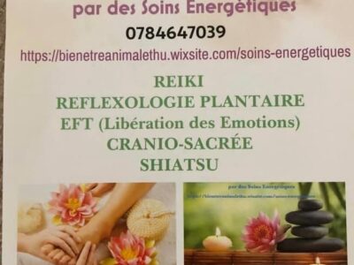 Praticienne Shiatsu équin, canin, humain, Maître Reiki, Algothérapie Equine, Réflexologie plantaire, praticienne cranio-sacrée, praticienne EFT