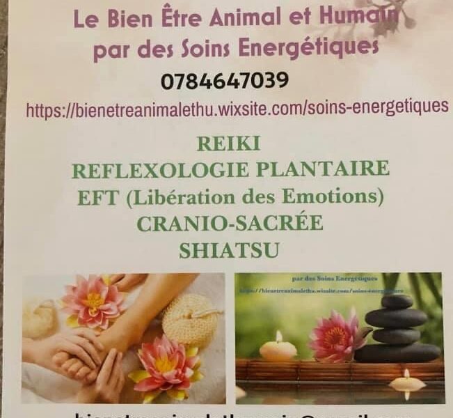 Praticienne Shiatsu équin, canin, humain, Maître Reiki, Algothérapie Equine, Réflexologie plantaire, praticienne cranio-sacrée, praticienne EFT