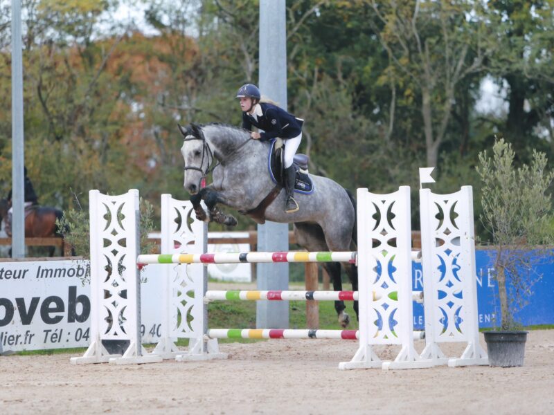 Mathilde Bodin / Ecurie flornoza