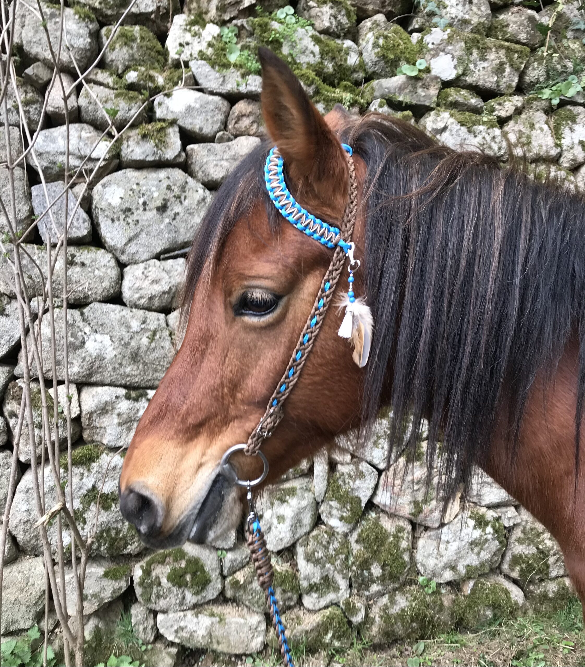 Gracie Création, sellerie personnalisé et sur mesure