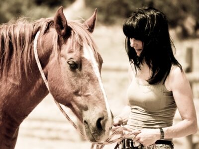 Lucie Langelier Kinésiologie, Dialogue Intuitif, Soins Énergétiques