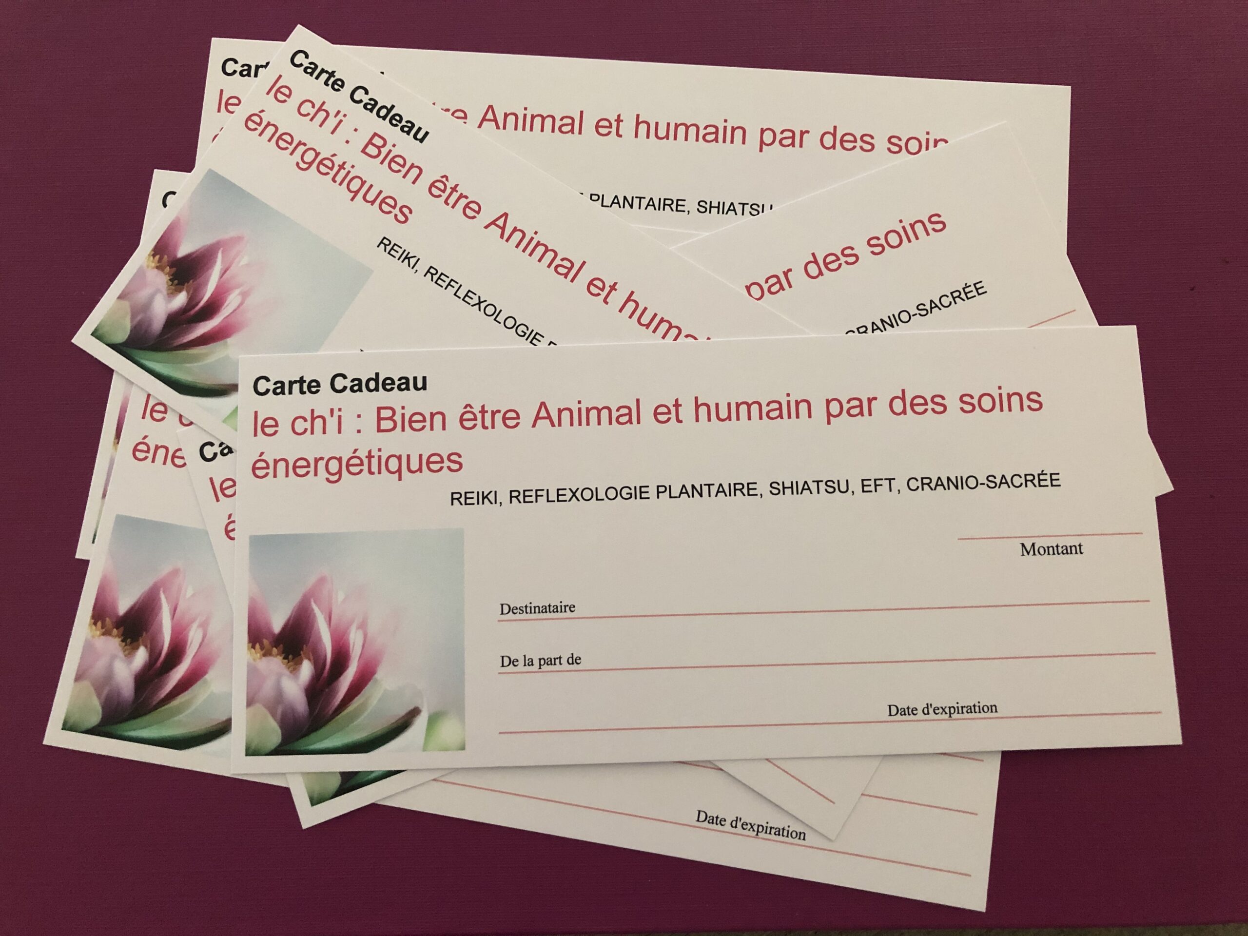 Praticienne Shiatsu équin, canin, humain, Maître Reiki, Algothérapie Equine, Réflexologie plantaire, praticienne cranio-sacrée, praticienne EFT