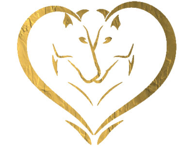 Vente de chevaux PRE et Lusitanien