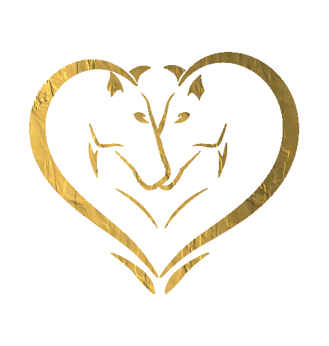 Vente de chevaux PRE et Lusitanien