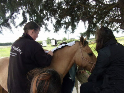 Monitrice d'équitation indépendante