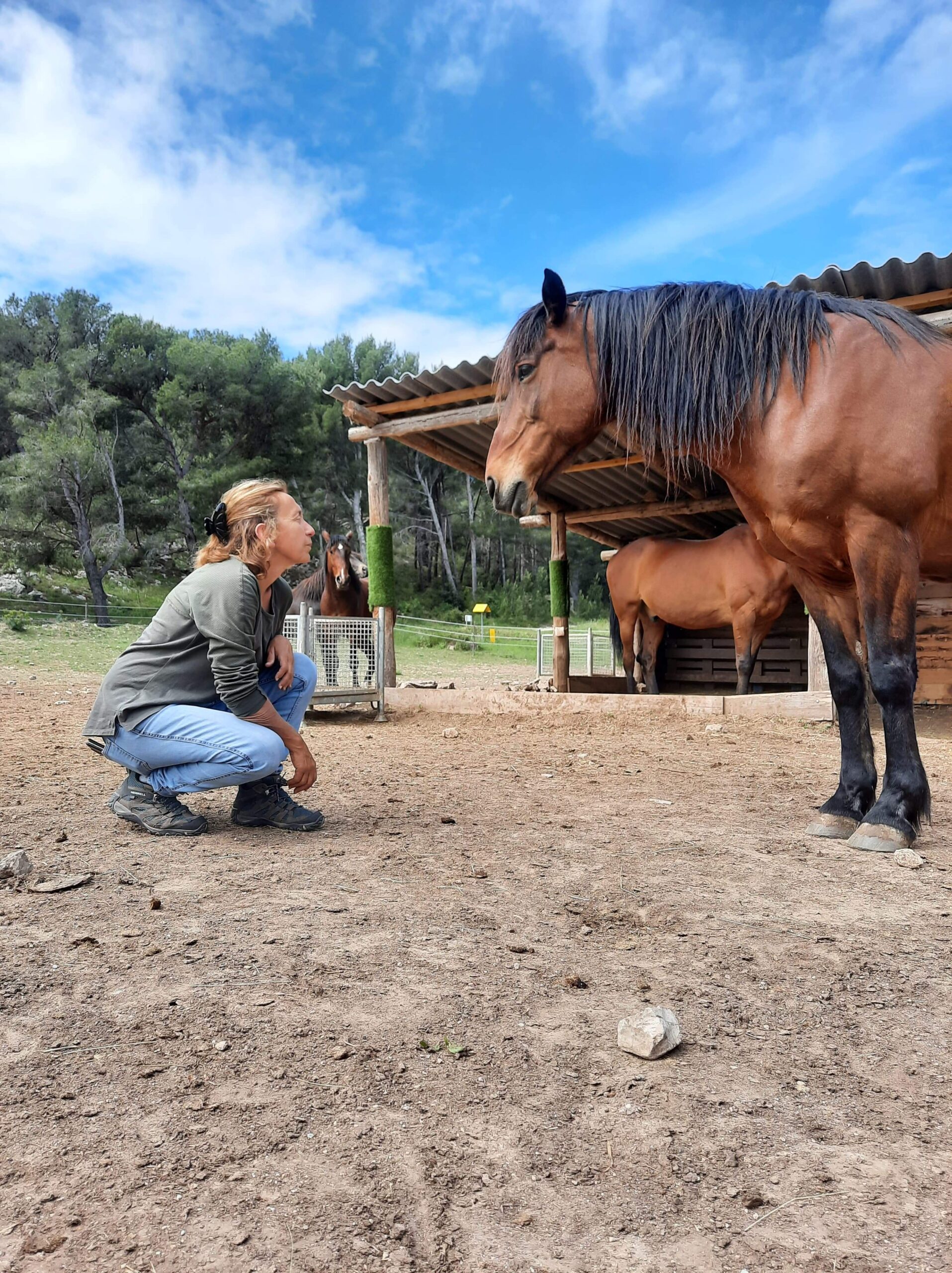 Équicoach Isabelle Coulomb