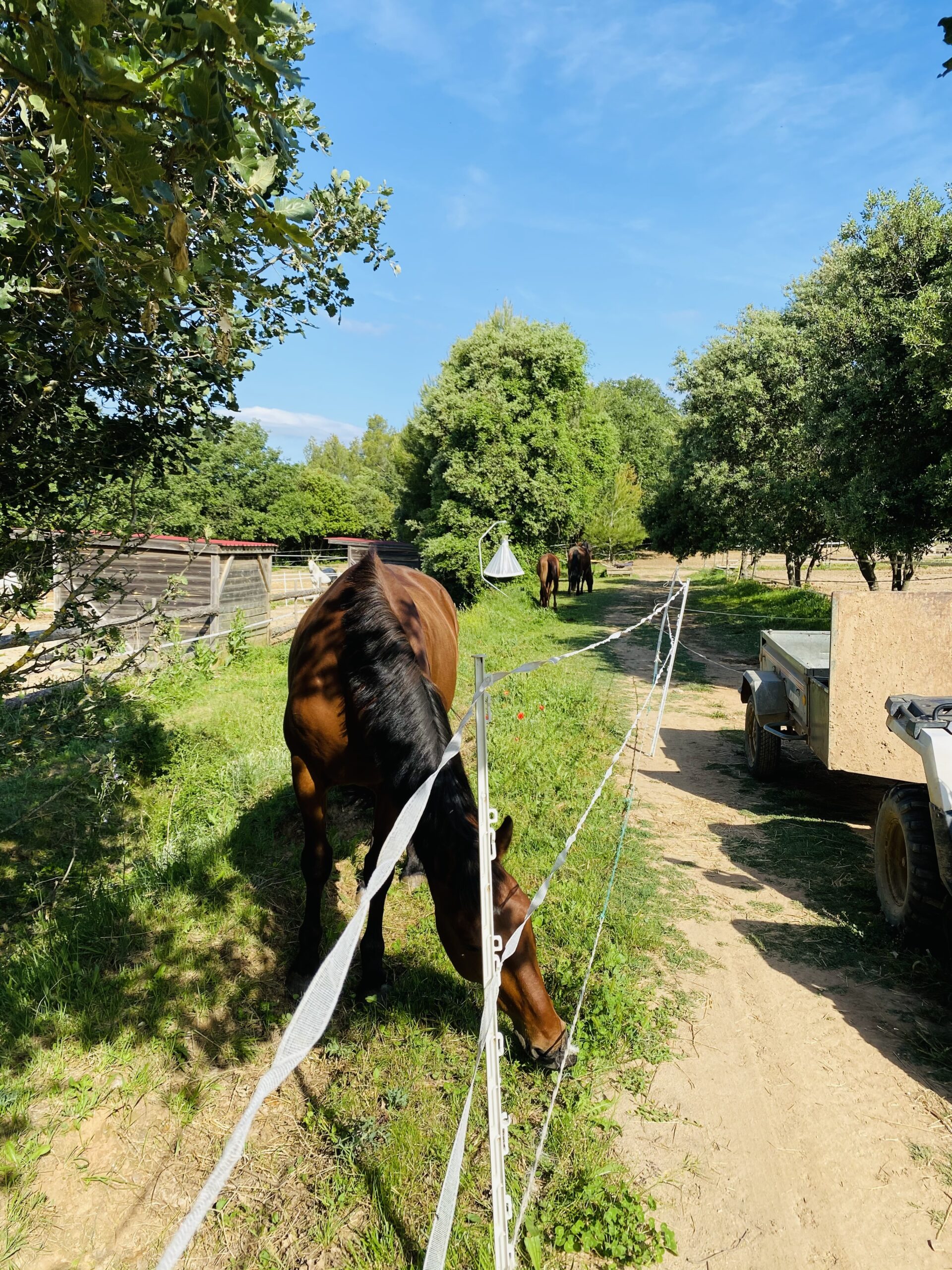 Les écuries de la neuve