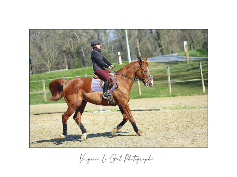 Virginie Le Gal Photographe