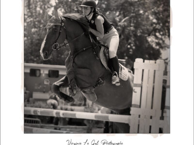 Virginie Le Gal Photographe