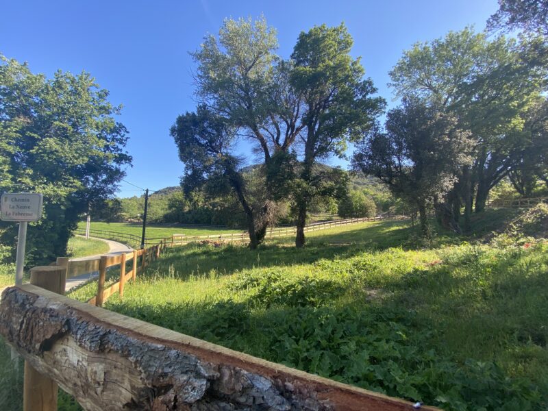 Les écuries de la neuve