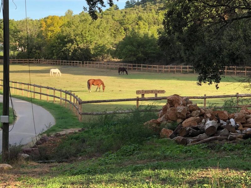 Les écuries de la neuve