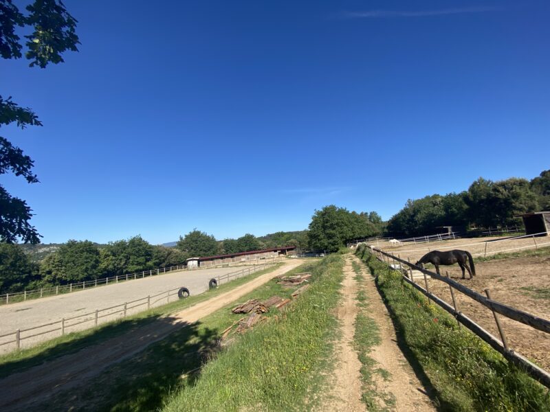 Les écuries de la neuve