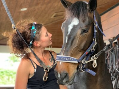 Well'n'ergie, le bien-être équin