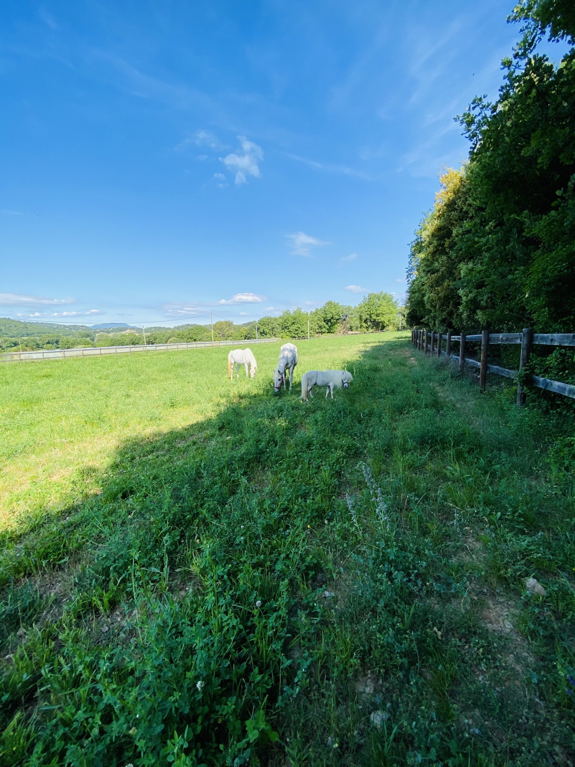 Les écuries de la neuve