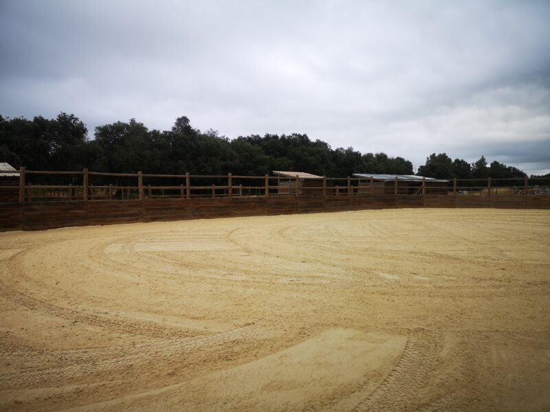 Écuries ECM TEAM MARCUCETTI