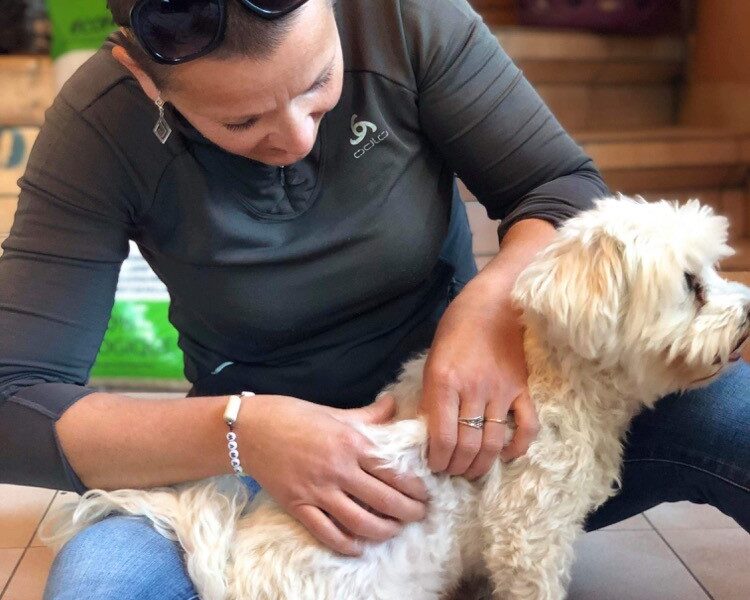 Alexandra Recordon Masseuse Equin & Canin certifiée