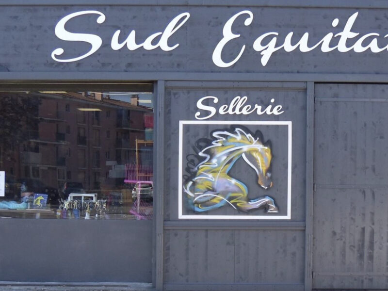 Sellerie Sud Equitations