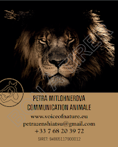 Communication animale Petra Mitlohnerova